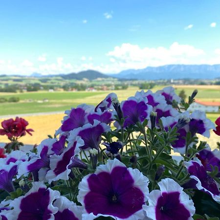 Hotel Blumenhof Sankt Georgen im Attergau Eksteriør billede