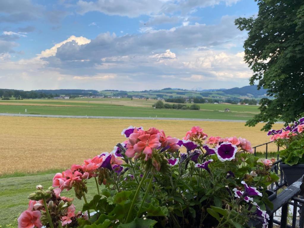 Hotel Blumenhof Sankt Georgen im Attergau Eksteriør billede