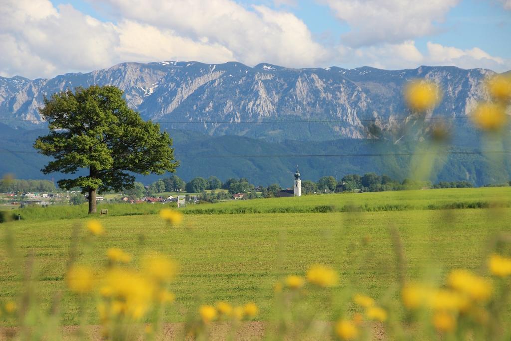 Hotel Blumenhof Sankt Georgen im Attergau Eksteriør billede